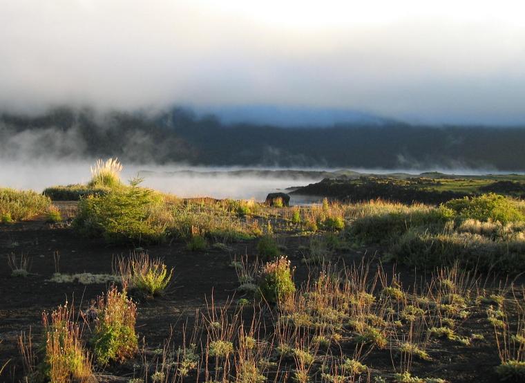 lago Conguillío