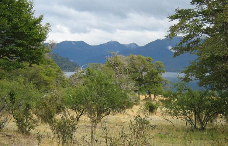 lago Paimún