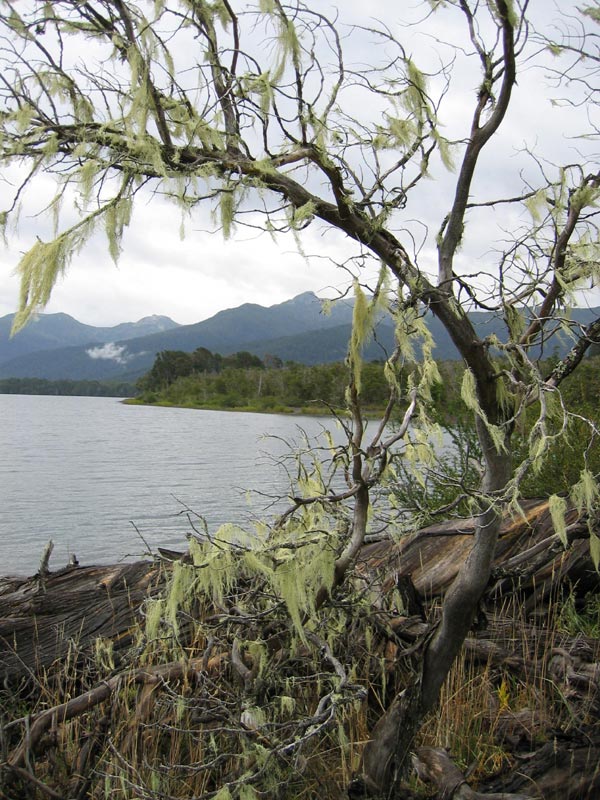 lago Paimún
