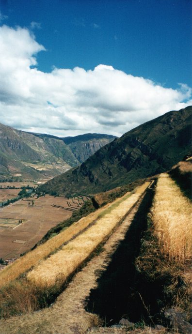 Pisac