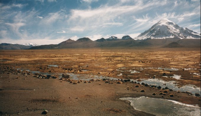 Parque Nacional Sajama