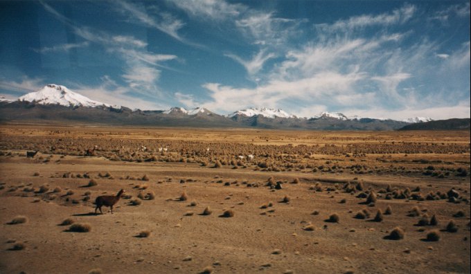 Parque Nacional Sajama